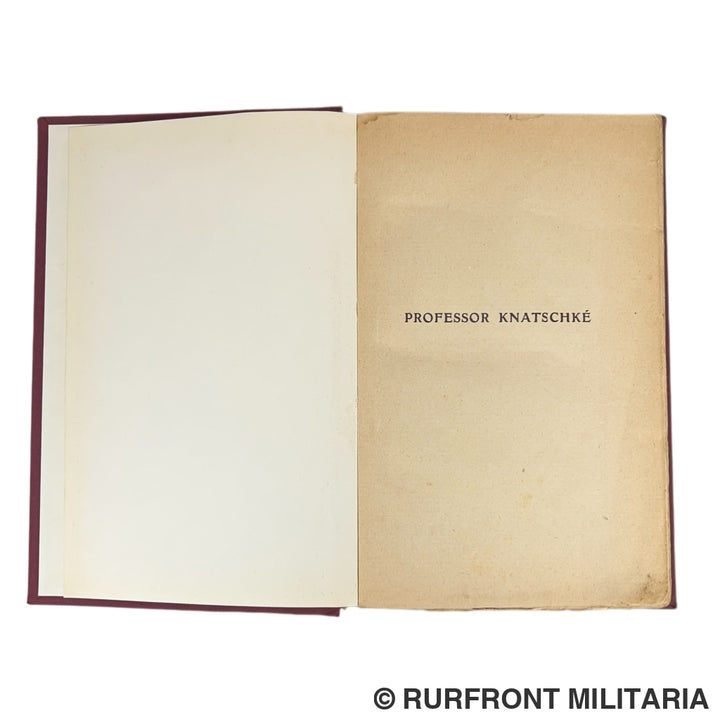 Boek ’Professor Knatschké’ – Édition de Luxe op Papier de Chine (1916)
