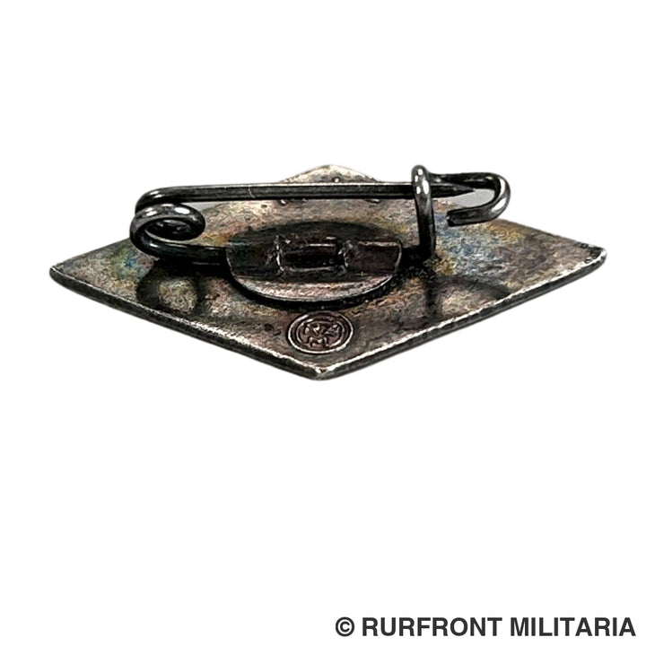 Hj lidmaatschaps Pin rzm m1/72